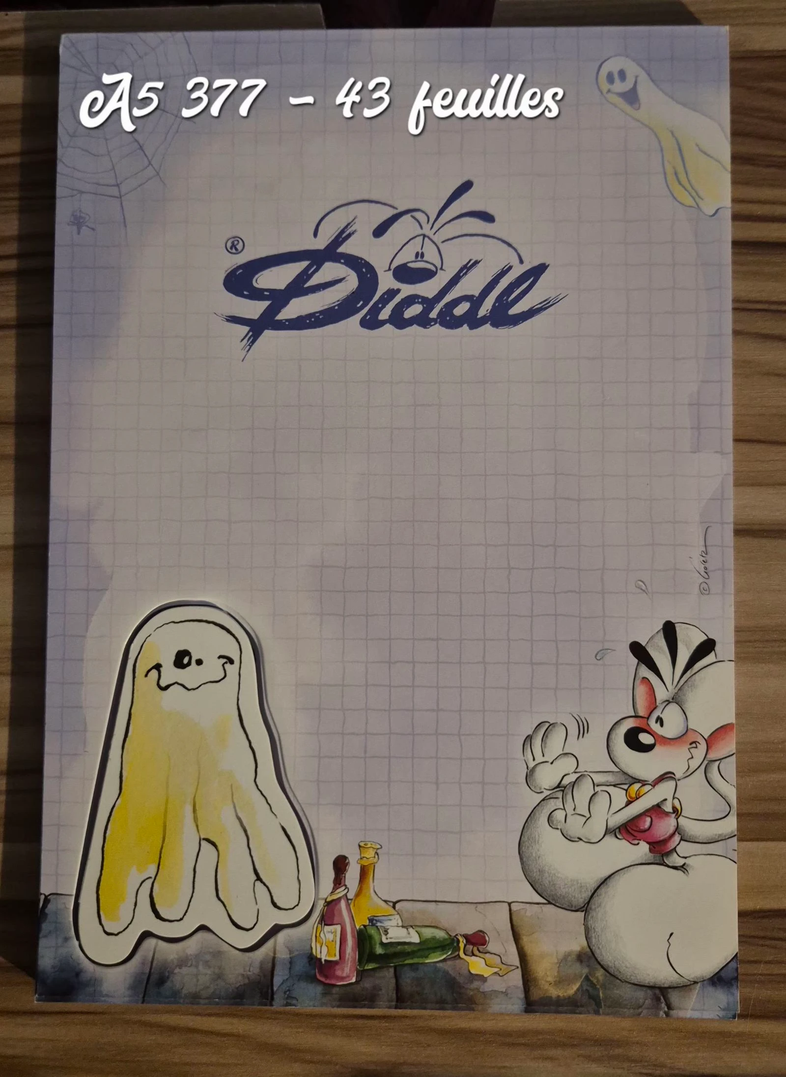 Bloc Diddl A5 377